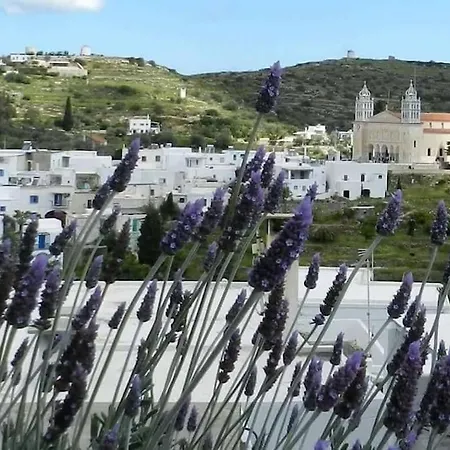 Katerina's Traditional House In Lefkes Village Apartment